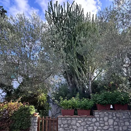 Casetta Dei Cactus Διαμέρισμα Ανακάπρι